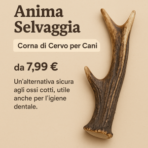 Corna di cervo, masticativo naturale per cani