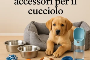 Lista completa accessori per il cucciolo: cosa serve davvero