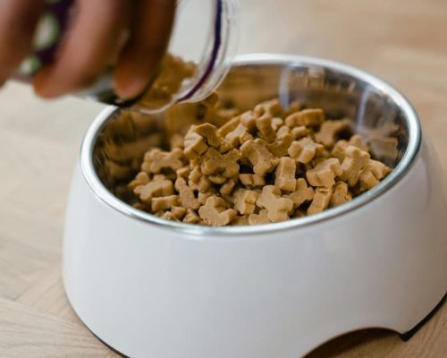 alimentazione
